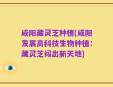 咸阳藏灵芝种植(咸阳发展高科技生物种植：藏灵芝闯出新天地)