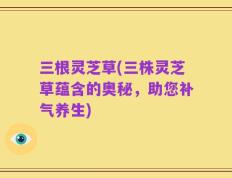 三根灵芝草(三株灵芝草蕴含的奥秘，助您补气养生)