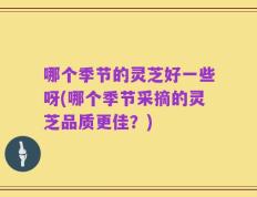 哪个季节的灵芝好一些呀(哪个季节采摘的灵芝品质更佳？)