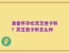 准备怀孕吃灵芝孢子粉？灵芝孢子粉怎么种