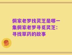 侗家老罗找灵芝是哪一集侗家老罗寻觅灵芝：寻找草药的故事