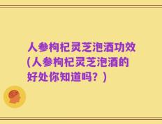 人参枸杞灵芝泡酒功效(人参枸杞灵芝泡酒的好处你知道吗？)