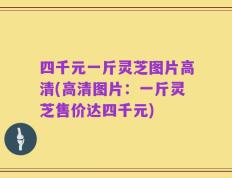 四千元一斤灵芝图片高清(高清图片：一斤灵芝售价达四千元)