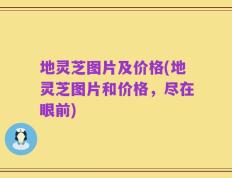地灵芝图片及价格(地灵芝图片和价格，尽在眼前)
