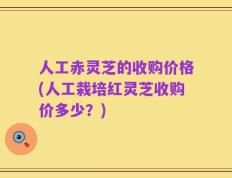 人工赤灵芝的收购价格(人工栽培红灵芝收购价多少？)