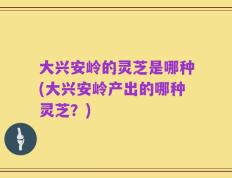 大兴安岭的灵芝是哪种(大兴安岭产出的哪种灵芝？)