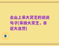 去山上采大灵芝的说说句子(采摘大灵芝，亲近大自然)