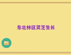 东北林区灵芝生长