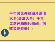 千年灵芝开箱图片高清大全(高清大全！千年灵芝开箱图片收藏，惊叹灵芝妙处！)