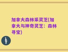 加拿大森林采灵芝(加拿大与神奇灵芝：森林寻宝)