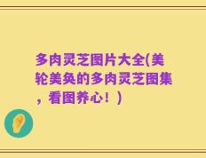 多肉灵芝图片大全(美轮美奂的多肉灵芝图集，看图养心！)
