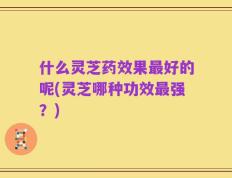 什么灵芝药效果最好的呢(灵芝哪种功效最强？)