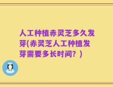 人工种植赤灵芝多久发芽(赤灵芝人工种植发芽需要多长时间？)