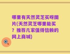 哪里有天然灵芝买呀图片(天然灵芝哪里能买？推荐几家值得信赖的网上商城)