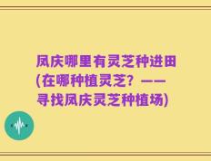 凤庆哪里有灵芝种进田(在哪种植灵芝？——寻找凤庆灵芝种植场)