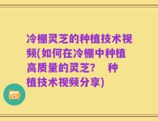 冷棚灵芝的种植技术视频(如何在冷棚中种植高质量的灵芝？  种植技术视频分享)