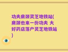 功夫肩颈灵芝地铁站(肩颈也来一份功夫 大好药店落户灵芝地铁站)