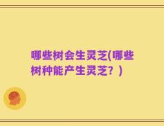 哪些树会生灵芝(哪些树种能产生灵芝？)
