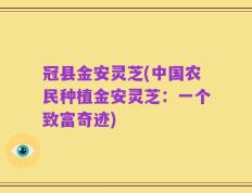 冠县金安灵芝(中国农民种植金安灵芝：一个致富奇迹)
