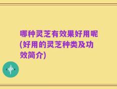 哪种灵芝有效果好用呢(好用的灵芝种类及功效简介)