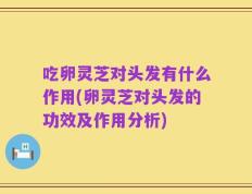 吃卵灵芝对头发有什么作用(卵灵芝对头发的功效及作用分析)