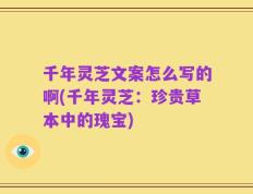 千年灵芝文案怎么写的啊(千年灵芝：珍贵草本中的瑰宝)