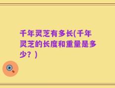 千年灵芝有多长(千年灵芝的长度和重量是多少？)