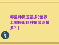 哪里种灵芝最多(世界上哪座山区种植灵芝最多？)