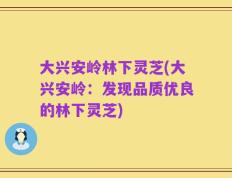 大兴安岭林下灵芝(大兴安岭：发现品质优良的林下灵芝)