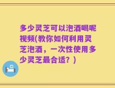 多少灵芝可以泡酒喝呢视频(教你如何利用灵芝泡酒，一次性使用多少灵芝最合适？)