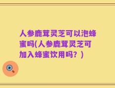 人参鹿茸灵芝可以泡蜂蜜吗(人参鹿茸灵芝可加入蜂蜜饮用吗？)