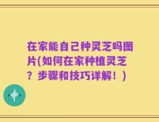 在家能自己种灵芝吗图片(如何在家种植灵芝？步骤和技巧详解！)