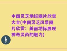 中国灵芝地标图片欣赏大全(中国灵芝风景图片欣赏：美丽地标展现神奇灵药的魅力)