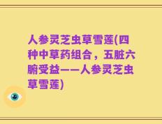 人参灵芝虫草雪莲(四种中草药组合，五脏六腑受益——人参灵芝虫草雪莲)