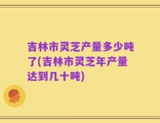 吉林市灵芝产量多少吨了(吉林市灵芝年产量达到几十吨)