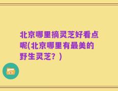 北京哪里摘灵芝好看点呢(北京哪里有最美的野生灵芝？)