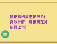 修正葛根灵芝护肝片(高效护肝！葛根灵芝片新鲜上市)
