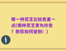 哪一种灵芝比较贵重一点(哪种灵芝更为珍贵？教你如何鉴别！)