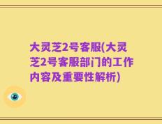 大灵芝2号客服(大灵芝2号客服部门的工作内容及重要性解析)