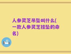 人参灵芝吊坠叫什么(一款人参灵芝挂坠的命名)