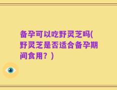 备孕可以吃野灵芝吗(野灵芝是否适合备孕期间食用？)