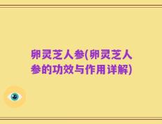 卵灵芝人参(卵灵芝人参的功效与作用详解)