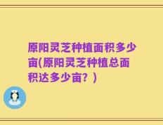 原阳灵芝种植面积多少亩(原阳灵芝种植总面积达多少亩？)