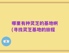 哪里有种灵芝的基地啊(寻找灵芝基地的旅程