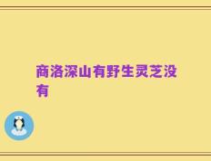 商洛深山有野生灵芝没有