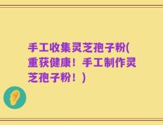 手工收集灵芝孢子粉(重获健康！手工制作灵芝孢子粉！)