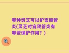 哪种灵芝可以护宫颈管炎(灵芝对宫颈管炎有哪些保护作用？)