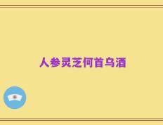 人参灵芝何首乌酒