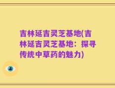 吉林延吉灵芝基地(吉林延吉灵芝基地：探寻传统中草药的魅力)