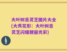 大叶树舌灵芝图片大全(大秀花形：大叶树舌灵芝闪耀靓丽光彩)